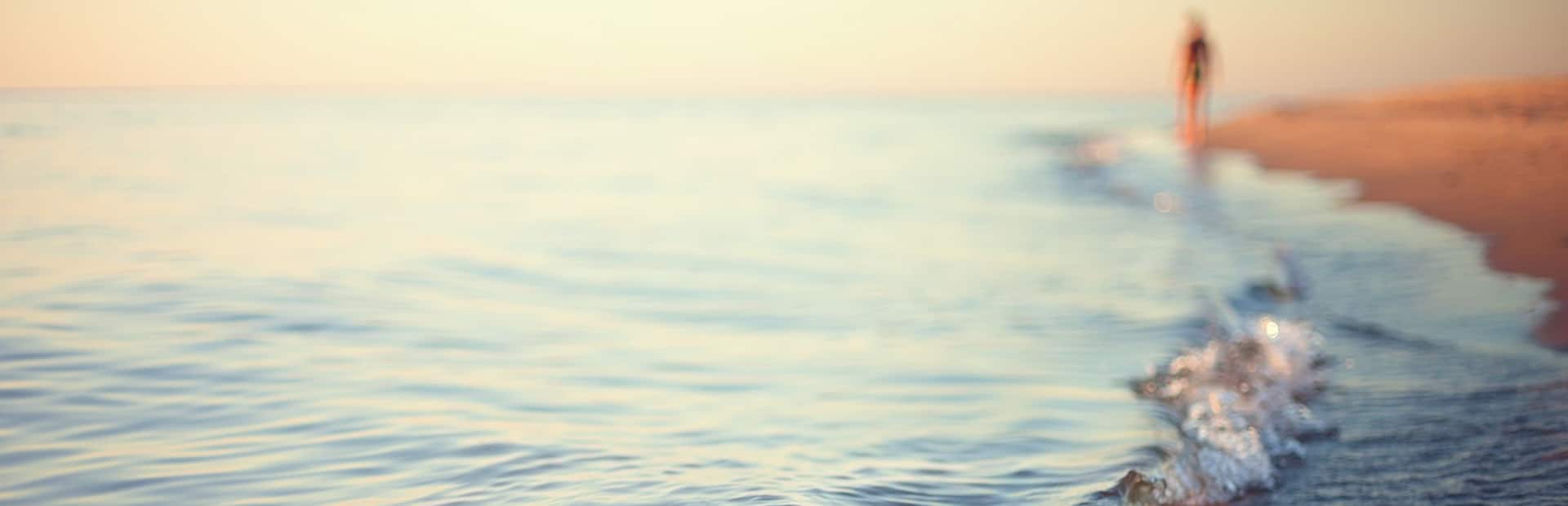Closeup of shoreline