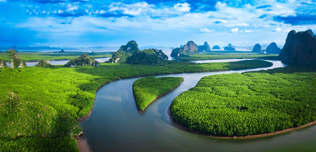 Forest lake landscape